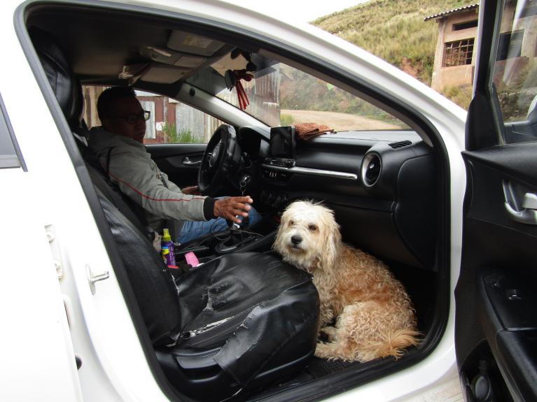 Boby el perro guia de Huancavelica