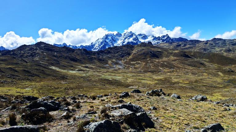 Callangate (Collpa Ananta), cordilliere Vilcanota