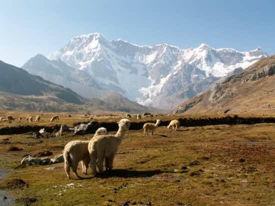 Paysage Andin