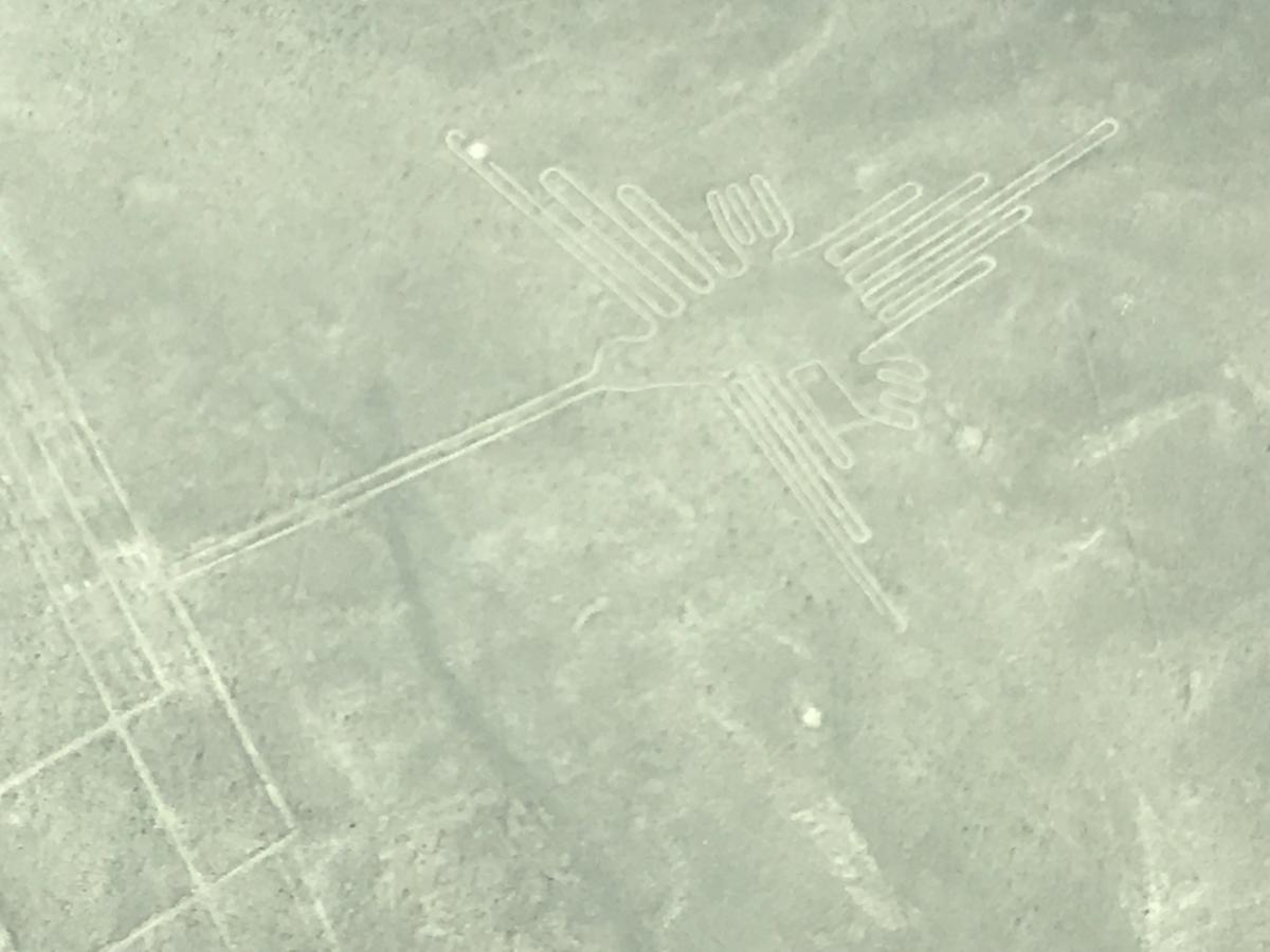 Lignes de Nasca : Colibri