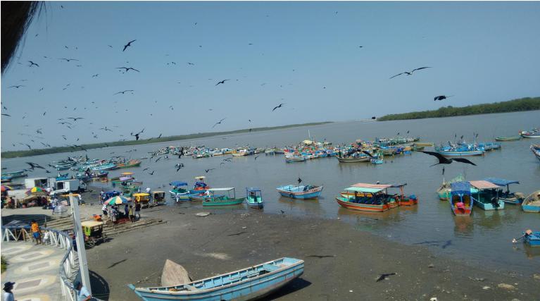 Tour a Puerto Pizarro