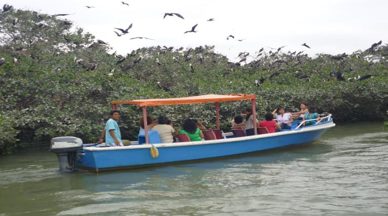 Tour a Puerto Pizarro