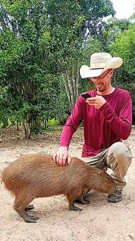 Rencontre amicale avec un Capybara