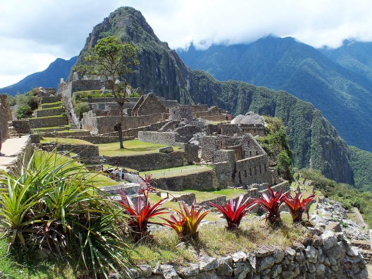Machu Picchu